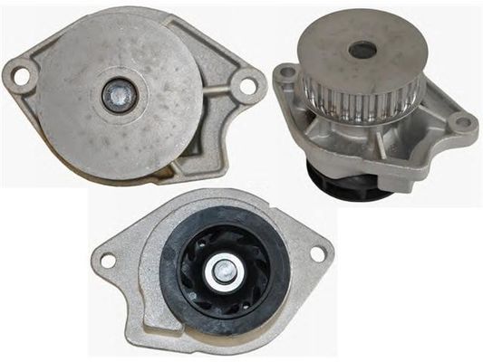 036121005B Partes del motor Bomba de agua
