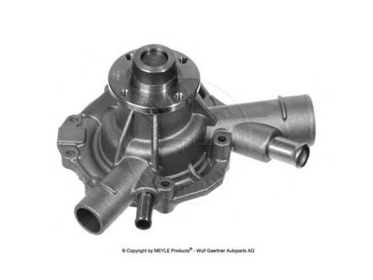 1112004301 Partes del motor Bomba de agua