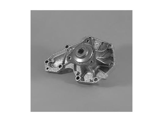 7701462809 Partes del motor Bomba de agua