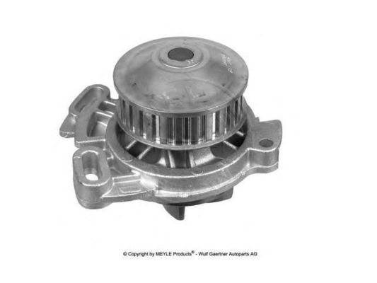 035121004A Partes del motor Bomba de agua