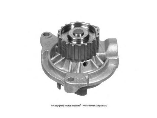 074121004 Partes del motor Bomba de agua
