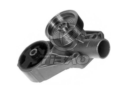 007070251 Partes del motor Bomba de agua