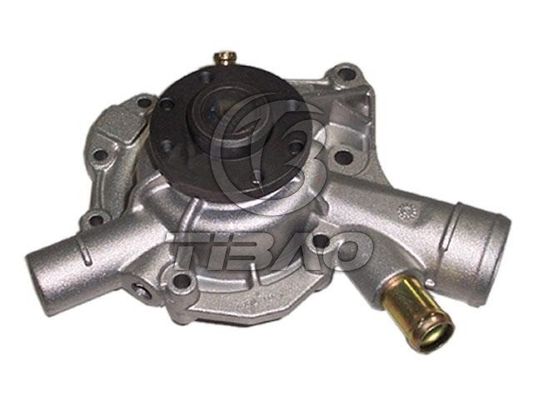 1112003901 Partes del motor Bomba de agua