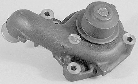 5020242 Partes del motor Bomba de agua