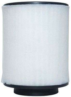 4H0129620L Partes del motor Filtro de aire
