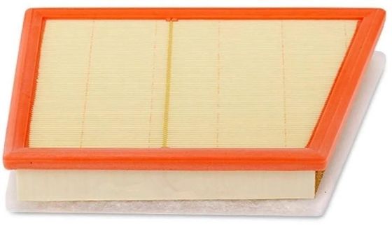 13718513944 Partes del motor Filtro de aire