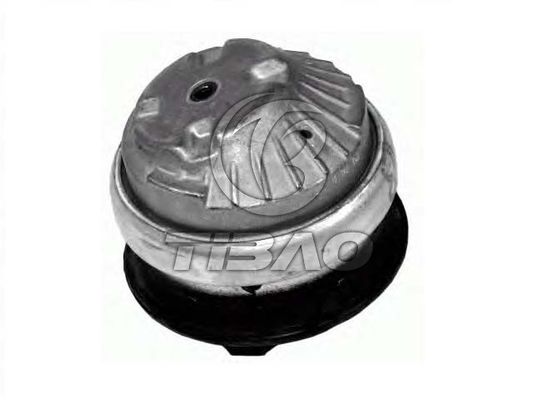 2032400317 Piezas del motor Montado en el motor para MERCEDES-BENZ CLASE C (W203)