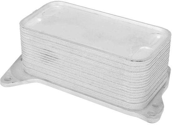 11428510856 Partes del motor BMW Frío de aceite