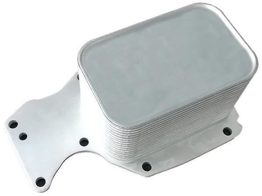 11428574005 Partes del motor BMW Refrigerador de aceite