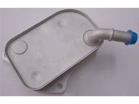06B117021 Partes del motor, enfriador de aceite
