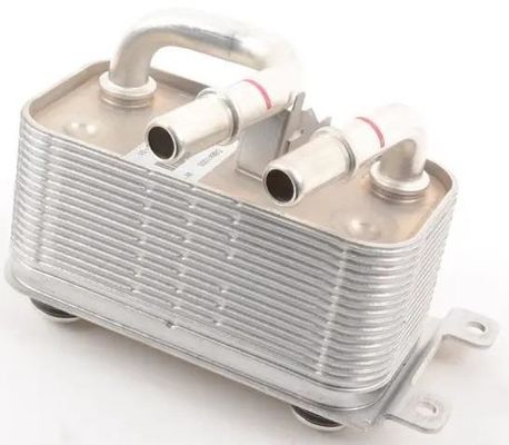 17217541059 Partes del motor Frío de aceite