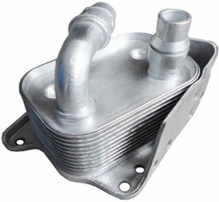 11427508967 Componentes del motor BMW Refrigerador de aceite