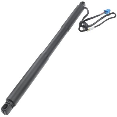 1668900100 Botón de resorte de gas